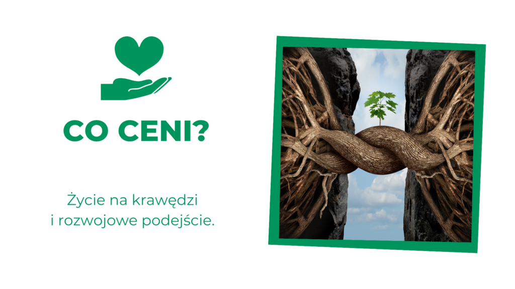 Przystanek TALENT - daily Learner (3)